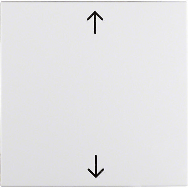 Hager/Berk Wippe pws Symbol Pfeil 16201919